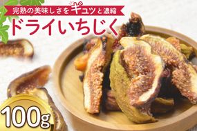 ドライフルーツ いちじく 100g [株式会社モアショップヤマモト 石川県 宝達志水町 38601439] 果物 くだもの フルーツ イチジク 無花果 先行受付 旬 いちぢく くだもの 国産 砂糖不使用 お菓子 おつまみ