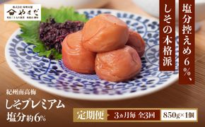 【定期便・3ヵ月毎 全3回】紀州南高梅 しそプレミアム 850g ［YM14］ 303446_DX90030