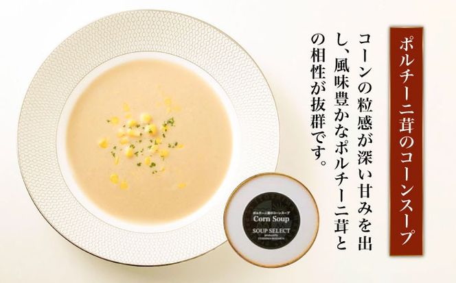 【全3回定期便】SoupSelect 2点セット 糸島市 / 糸島正キ スープ レトルト[AQA071] スープ soup スープセット 野菜スープ きのこ ヴィーガンスープ 惣菜