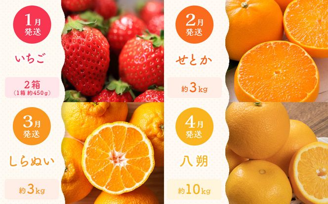 【定期便全12回】旬果厳選！四季を味わう単品定期便♪～プレミアム等級選果～ 372013_GM025