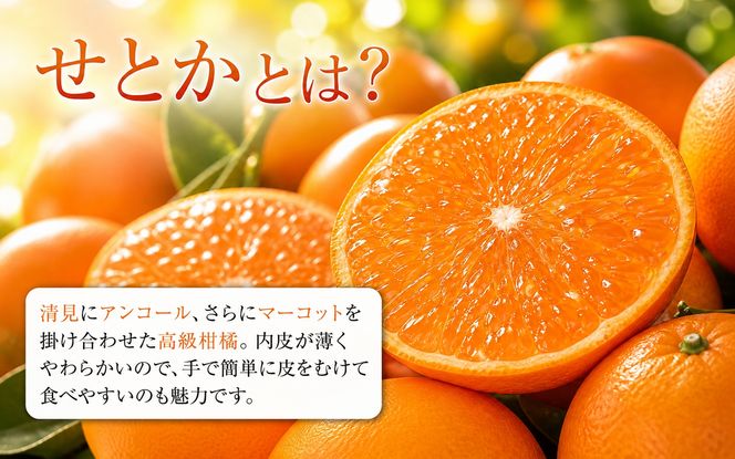 とろける食感！ジューシー柑橘　せとか　約3kg【予約】※2027年2月下旬頃〜2027年3月中旬頃発送(お届け日指定不可)【uot506A】