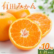 《2026年11月中旬～2027年1月中旬頃に順次発送予定》【2026年先行予約】有田みかん　L,2Lサイズ混合　約10kg_BF6069