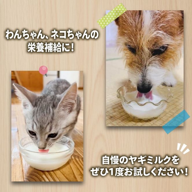 ペット 用 ミルク ヤギ 100ml × 7本 山羊 新鮮 栄養補給 乳 犬 猫 冷凍 国産 静岡県 藤枝市