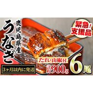 【0334338a】＜3ヶ月以内に発送予定＞東串良町のうなぎ蒲焼(無頭)(6尾・計約900g・タレ、山椒付) うなぎ 高級 ウナギ 鰻 国産 蒲焼 蒲焼き たれ 鹿児島 ふるさと 人気 【アクアおおすみ】