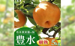 樹熟梨「豊水」約12玉 5kg ※大きさは天候・生育状況により変わる場合があります ※2026年9月～発送