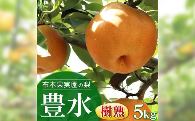 樹熟梨「豊水」約12玉 5kg ※大きさは天候・生育状況により変わる場合があります ※2026年9月～発送