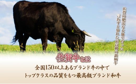 【佐賀牛】ハンバーグ 120g×10個 D-606