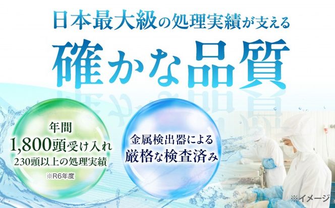 猪肉 ミンチ 2kg 雲仙いのしし / ひき肉 肉 イノシシ ジビエ いのしし ハンバーグ / 南島原市 / もりのめぐみ[SDB013]