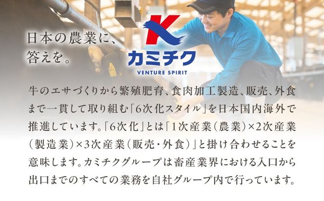 ＜選べる＞【期間限定】【訳あり】鹿児島県産黒毛和牛 タレ漬け牛こま切れ　K002-053_SKU