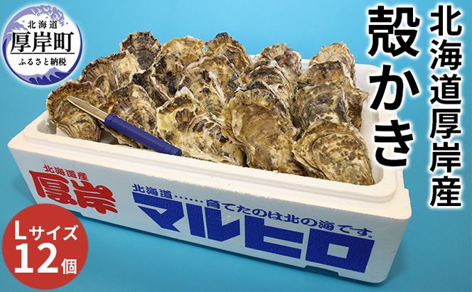 厚岸産 殻かき L12個セット 北海道 牡蠣 カキ かき 生牡蠣 殻付 魚貝類 淡水 豊富 栄養 蓄え 美味しい たっぷり 大きい マルえもん