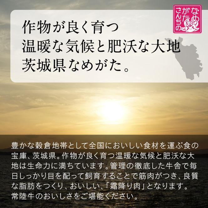 【数量限定】 牛丼の具 10袋【2026年3月中旬より順次発送】｜牛丼 お肉 常陸牛 ブランド 贅沢 簡単 茨城県 行方市(CU-322)