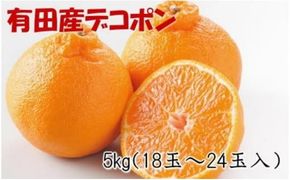 ZD7001_【2027年先行予約】【お味濃厚】紀州有田産 の デコポン 約5kg (18玉～24玉入り・青秀以上)