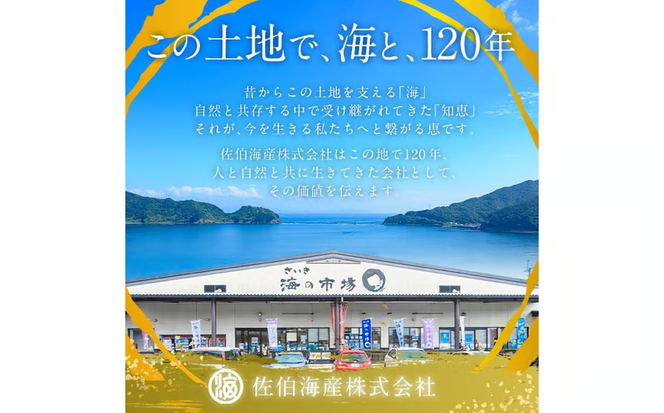 老舗海産物問屋 選りすぐり干物 セット 青 (7種) 干物 あじ 鯵 さば 鯖 みりん ちりめん 海鮮 魚 鰯 イワシ いわし かます セット 詰合せ 【BQ83】【佐伯海産】