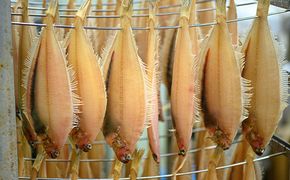 笹かれい一夜干し（ササカレイ、ヤナギムシカレイ）中サイズ 5尾セット　海鮮 魚介 魚介類 カレイ 一夜干し 100g～ 5尾 セット 冷凍 干物 干もの 塩焼き 脂のり 揚げ 簡単調理 笹がれい やなぎかれい 日本海産 かれいの王様 真空パック お取り寄せ 送料無料　UO00064