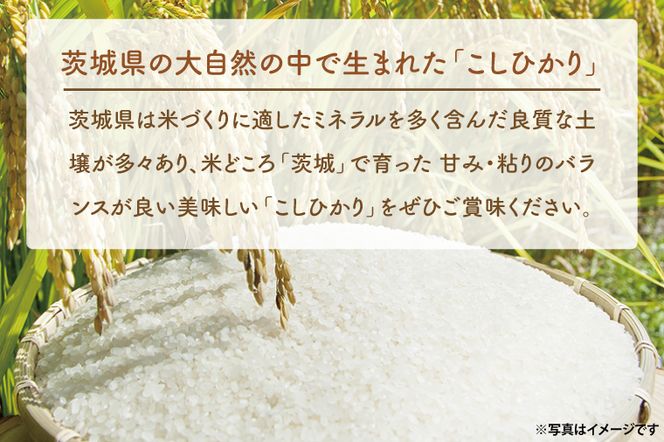 【6ヵ月定期便】 ＜令和8年産＞新米 吟穂豊穣こしひかり 6kg ( 2kg 3袋 ) ×6ヵ月 精米 コシヒカリ こしひかり 米 ごはん コメ お米 白米 国産 茨城県産