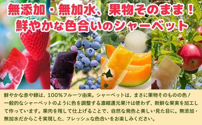 北海道 豊浦町 シャーベット 4種 味くらべ 各3本ずつ（ ブルーベリー、いちご、メロン、りんご ）イチゴ めろん リンゴ 食べ比べ アイス デザート 夏 冷たい TYUN018