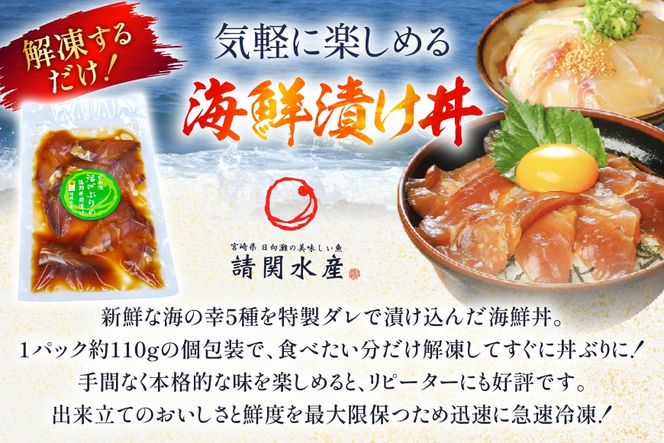 海鮮丼 海鮮漬け丼 5か月 定期便 [請関水産 宮崎県 日向市 452061670] 海鮮丼の具 海鮮 海鮮丼セット 食べ比べ 丼 冷凍 ギフト 漬け丼 ブリ 真鯛 マダイ カンパチ かんぱち まぐろ マグロ サーモン
