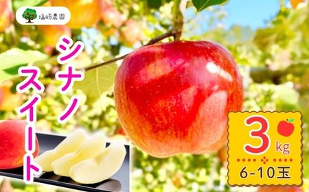 [先行予約] シナノスイート [約3kg(6-10玉)] (7-A24-1) 長野県 飯山市 おすすめ ランキング おいしい 高評価 大人気 リンゴ りんご シナノスイート シナノスイート シナノスイート シナノスイート