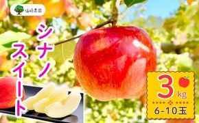 【先行予約丨2026年10月中旬より順次発送】シナノスイート【約3kg (6〜12玉)】(At-011)丨長野県 飯山市 おすすめ ランキング おいしい 高評価 大人気 先取り 産地直送 りんご