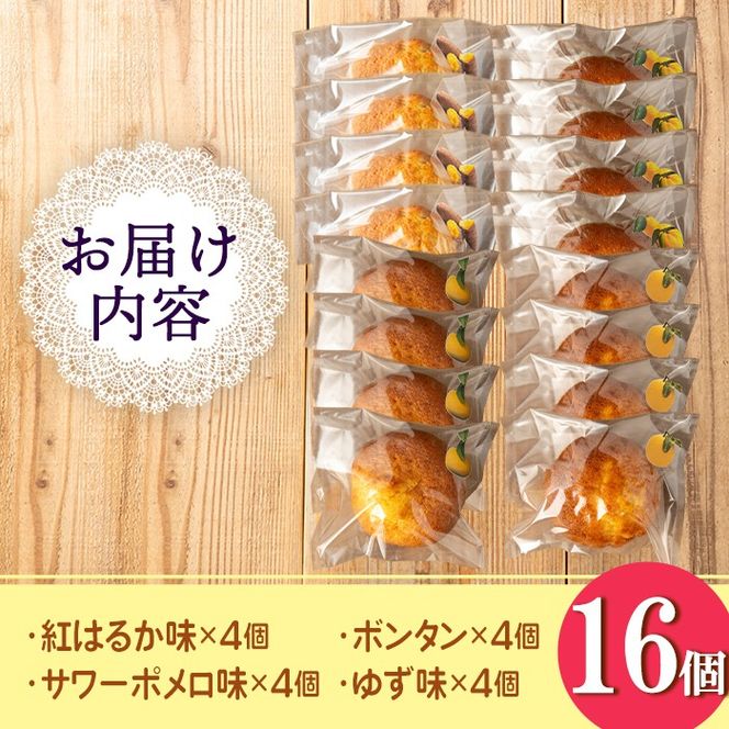 isa939 ジャム菓子 まあるいセット(16個) 詰め合わせ 洋菓子 菓子 焼き菓子 ケーキ ジャム ギフト 紅はるか ボンタン ゆず サワーポメロ 【薩摩美食倶楽部】