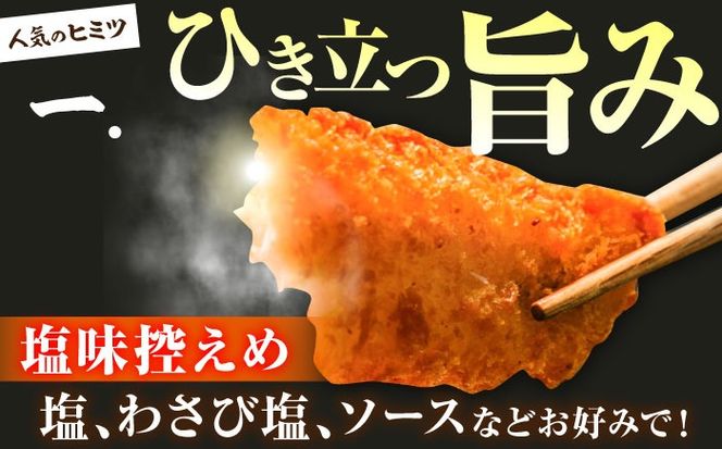 【ほくほく！】ヒラメ の フライ 20個入り 計300g / ヒラメ ひらめ 唐揚げ フライ わさび セット おつまみ / 南島原市 / 株式会社 FUKUNOTANE[SFJ029]