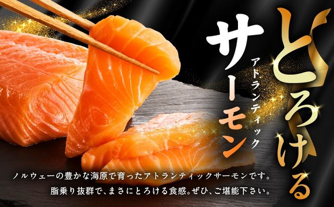 020C301 アトランティックサーモン 1.2kg（200g×6）訳あり サイズ不揃い
