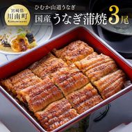 うなぎ【名店の味！宮崎県産鰻】 ひむか山道うなぎ蒲焼３尾分（390ｇ以上） 【 国産 鰻 蒲焼き 】ⅢⅤ [B08411]