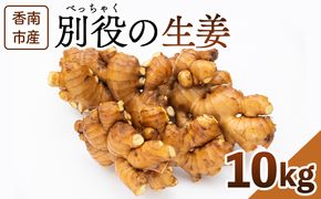 生姜 10kg 香南市産 別役の生姜 - しょうが ショウガ ジンジャー 薬味 調味料 国産 株式会社べっちゃく 高知県 香南市 bc-0028