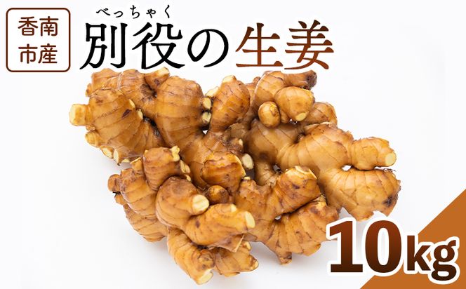 生姜 10kg 香南市産 別役の生姜 - しょうが ショウガ ジンジャー 薬味 調味料 国産 株式会社べっちゃく 高知県 香南市 bc-0028