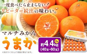 【CF】丹精込めて育てました！マルチみかん「うまか」 2箱 4.4kg 《11月中旬-12月末頃に出荷予定(土日祝除く)》 広畠農園 【配送不可地域あり】(離島) みかん ミカン 蜜柑 早生 柑橘 佐那河内 徳島県 箱入り 化粧箱 S M L フルーツ 果物 くだもの 贈答 進物---sanagouchi_hhn_2_2hk---