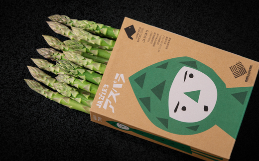 2026年産 柔らかくてみずみずしい朝取りグリーンアスパラ(春芽)3L 1kg【配送不可地域：離島】 BHRG028