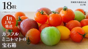 カラフル ミニトマト の宝石箱 18粒【2026年1月上旬発送開始】(茨城県共通返礼品：大子町) 野菜 フルーツ 旬 季節限定 期間限定