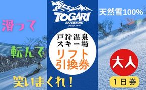 戸狩温泉スキー場　１日リフト券引換券 １枚(T-20)