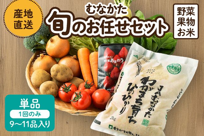 【9～11品】むなかた旬のお任せセット(野菜・フルーツ・お米)【JAほたるの里】_HA0263