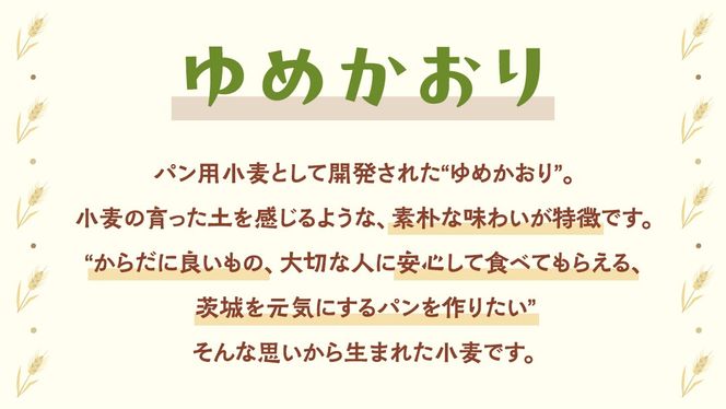 茨城県産 小麦の イギリスパン 2斤 2本 セット 食パン パン 小麦 冷凍 プレゼント ギフト [AU006ci]