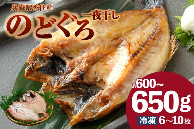 【兵庫県香住産 のどぐろ一夜干し 約600～650g 冷凍】 日本海 香住 柴山 漁港 水揚げ 国産 ノドグロ 白身魚の王様 高級魚 一夜干し 濃厚 脂 旨味 お酒 お供 肴 あて アテ ご飯 おかず ふるさと納税 おすすめ 返礼品 兵庫県 香美町 宿院商店 33-15