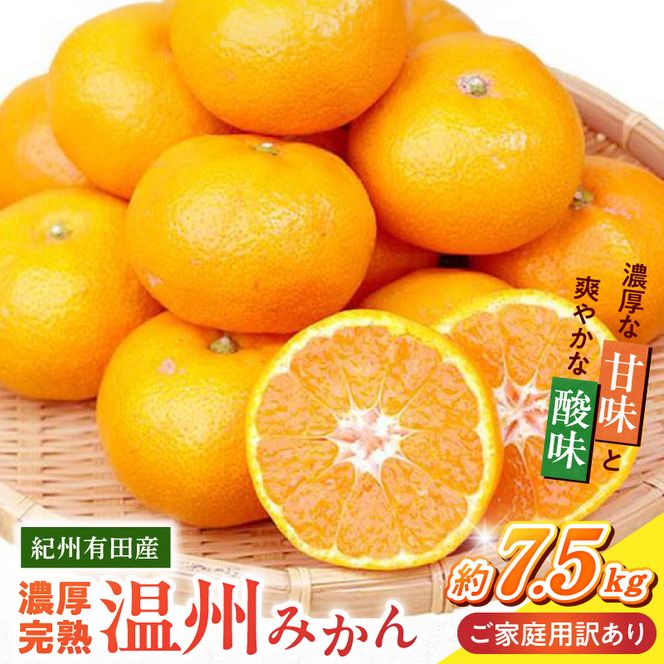 G7345_【2026年11月下旬より発送】紀州 有田産 濃厚甘熟 温州みかん 7.5kg 【家庭用 訳あり】