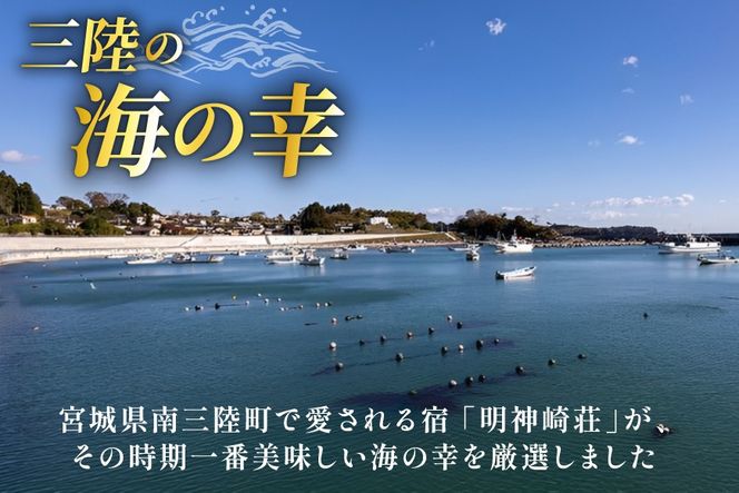 海鮮 7種 お任せ セット [明神崎荘 宮城県 南三陸町 m304amh770002] サーモン 牡蠣 つぶ タコ めかぶ メカブ 切身 あわび 冷凍