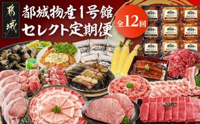 【☆セレクト定期便☆】都城物産1号館☆定期便(12ヶ月)≪2027年お届け≫_S-001-T12-2027 宮崎県 ブランド豚 しゃぶしゃぶ 魚 ナッツ 宮崎牛 黒毛和牛 ステーキ 切り落とし すき焼き チキン南蛮 スイートコーン 味来コーン うなぎ 蒲焼 焼鳥 炭火焼 煮込みハンバーグ 定期便 12回 1年