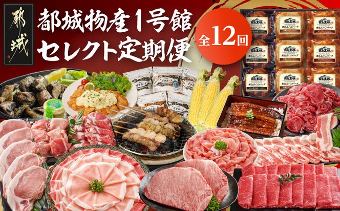 【☆セレクト定期便☆】都城物産1号館☆定期便(12ヶ月)≪2027年お届け≫_S-001-T12-2027 宮崎県 ブランド豚 しゃぶしゃぶ 魚 ナッツ 宮崎牛 黒毛和牛 ステーキ 切り落とし すき焼き チキン南蛮 スイートコーン 味来コーン うなぎ 蒲焼 焼鳥 炭火焼 煮込みハンバーグ 定期便 12回 1年