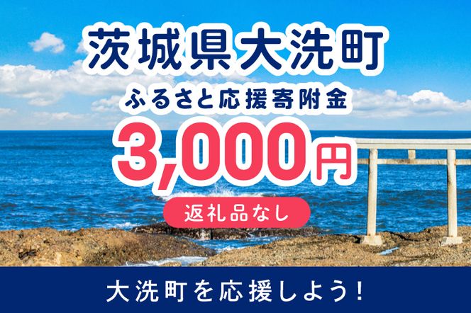 【返礼品なしのご寄附】 茨城県大洗町 1口 3,000円 茨城県 大洗町 応援寄附金 寄附のみ
