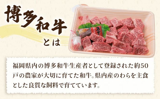 【人気セット】A4ランク 博多 和牛 ヒレ肉 サイコロ ステーキ 300g / 博多和牛と糸島産豚肉入り手作り生ハンバーグ 130g × 3個 《糸島》 【糸島ミートデリ工房】 [ACA052] 国産 冷凍 ランキング 上位 人気 おすすめ