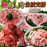 【定期便全6回】生活支援定期便15.5kg(豚切り落とし 豚バラスライス 豚肩ロース しゃぶしゃぶ 肩ロース生姜焼き 豚ロースとんかつ 豚モモウデ切り落とし 国産 九州産）)