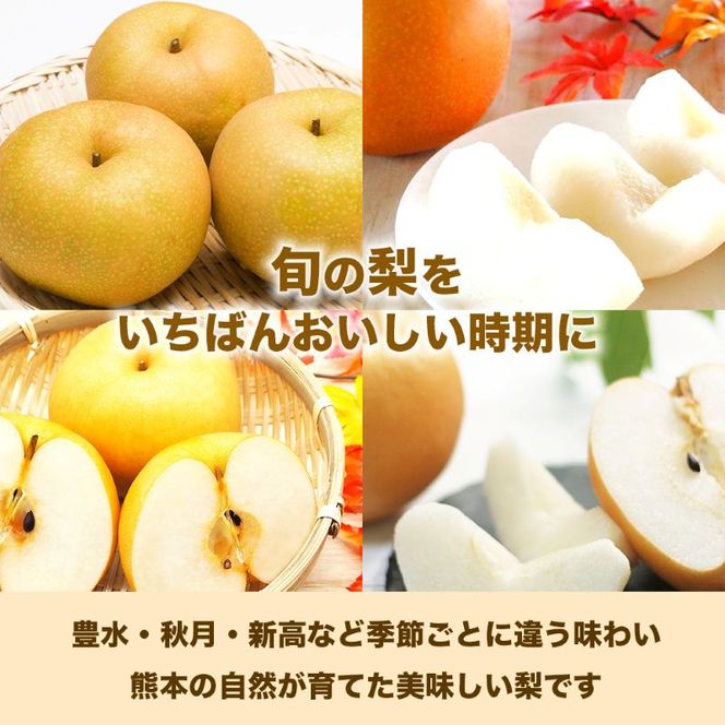 旬の梨 品種おまかせ 約1.8kg（5～8玉）【梨 なし 果物 フルーツ デザート 食後 熊本県産】※配送不可：離島