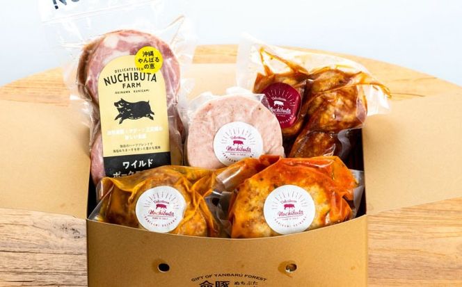 『お手軽セット』 豚肉 ポークステーキ ハンバーグ 詰め合わせ お取り寄せ 国産 ギフト 冷凍 沖縄市 / DELICATESSEN NUCHIBUTA [BCAR006]