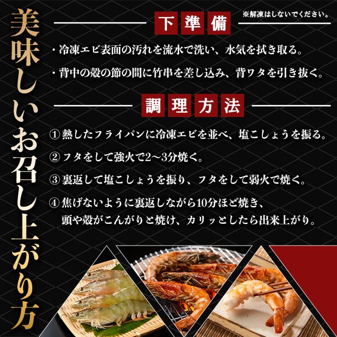 薩摩橙王エビ(4尾入×2パック) 国産 鹿児島県産 阿久根市産 えび 海老 魚貝類 魚介類 海産物 養殖 冷凍 期間限定 数量限定 焼き海老 焼きエビ バナメイエビ シロアシエビ 生食可 【リージョナルフィッシュ株式会社】akn105-01