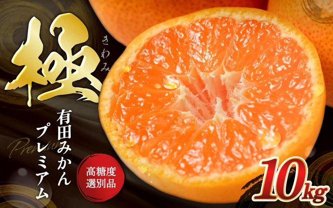 ＼光センサー選別／極 有田みかんプレミアム 10kg【選りすぐりの上位20％をお届け】2S～Lサイズ 有機質肥料100% ※2025年11月下旬頃～2026年1月上旬頃に順次発送予定 ※北海道・沖縄・離島への配送不可/ミカン 蜜柑 柑橘 フルーツ くだもの 果物 温州 有田 甘い 高級 贈答品 贈り物 新鮮 10kg 12月 【nuk156C】