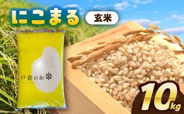 ＼11月～選べる配送月／にこまる　玄米　10kg　お米　ご飯　愛西市／株式会社戸倉トラクター[AECS065]