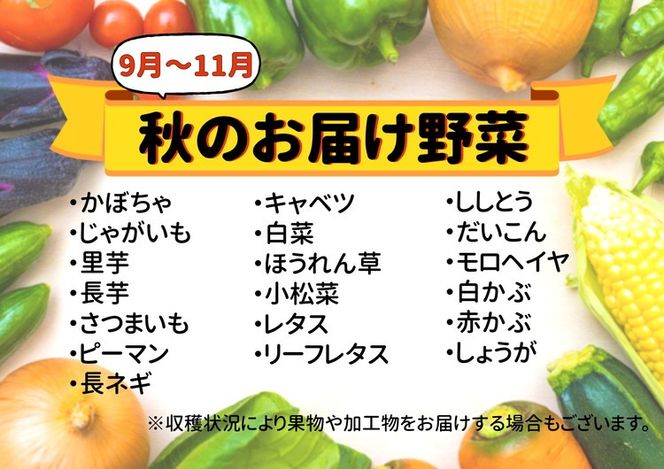 七宗町から発送　新鮮野菜詰めあわせセット(季節の野菜7～8種類) ※北海道・沖縄・離島への配送不可