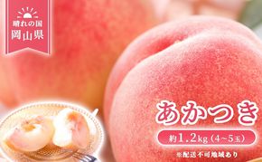 【 2027年 先行予約】 桃 岡山県産 あかつき 約1.2kg(4～5玉) 《2027年7月上旬-中旬頃出荷》 白桃 岡山 はくとう スイーツ フルーツ 果物 先行予約 数量限定 期間限定 岡山 里庄町 モモ もも 桃